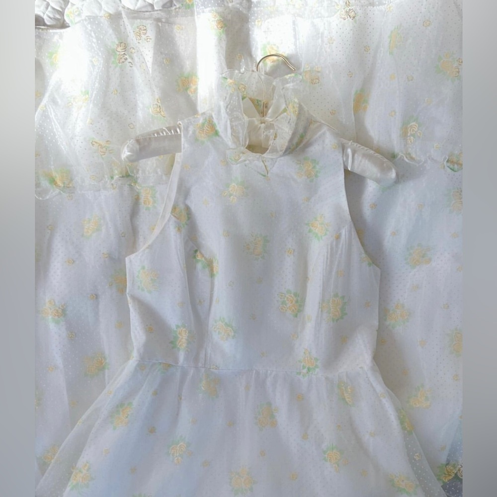 1970s Swiss polka dot dress💐